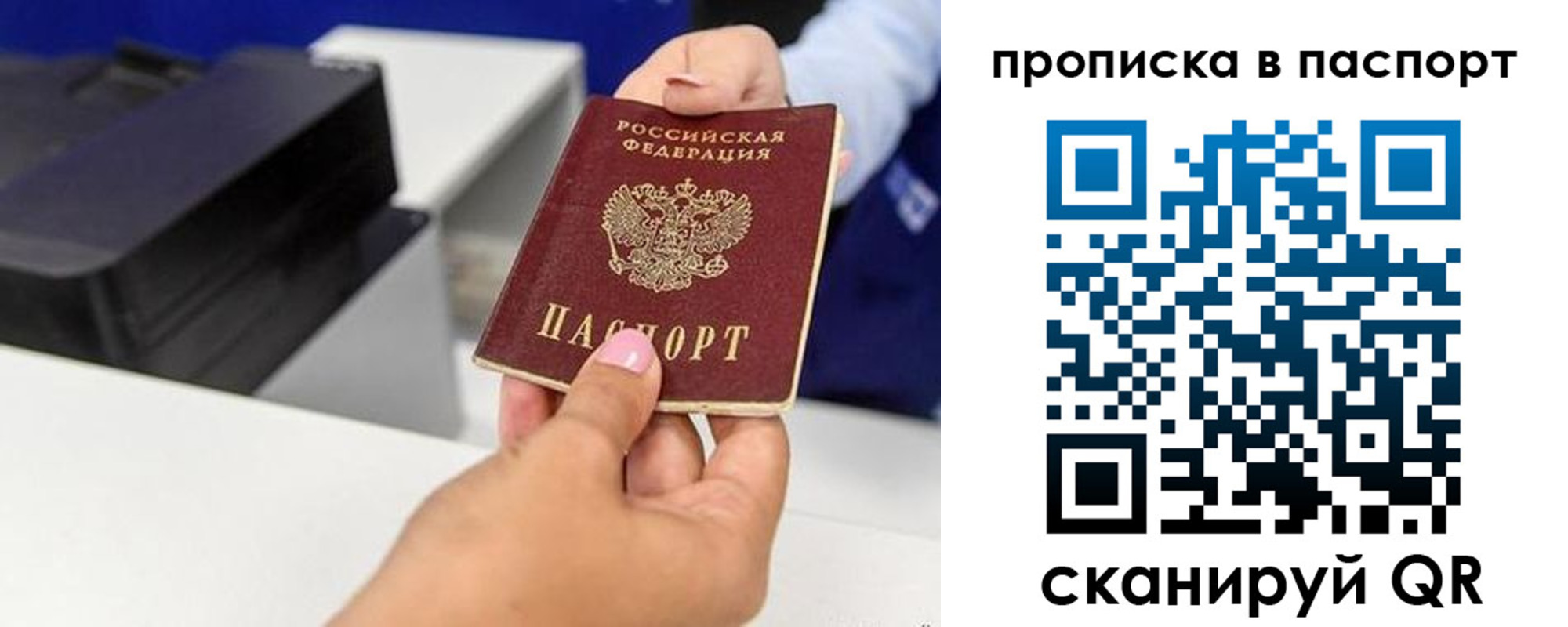 прописка поиск в Раменском